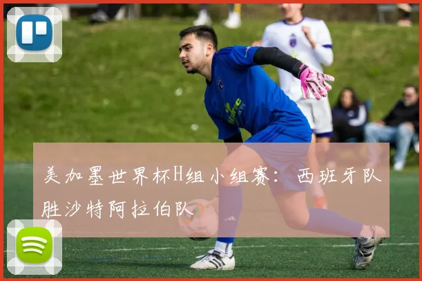美加墨世界杯H组小组赛：西班牙队胜沙特阿拉伯队
